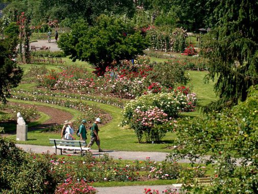 [billede: mennesker spadserer på en sti i rosariet]